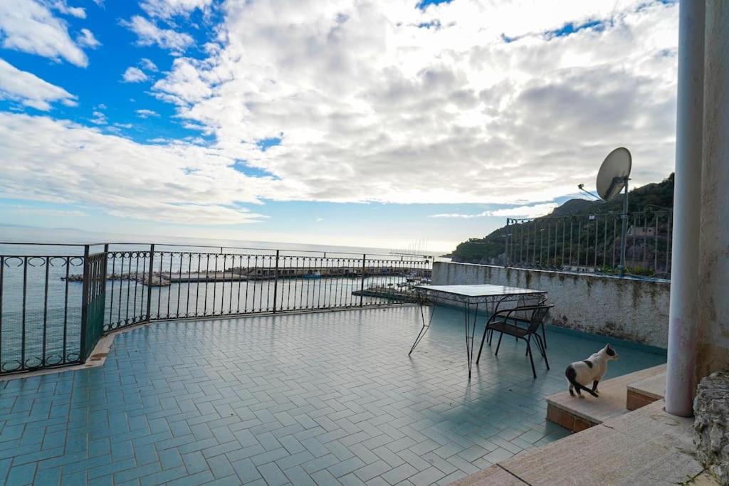 チェターラCasa Panoramica Con Terrazzoアパートメント エクステリア 写真